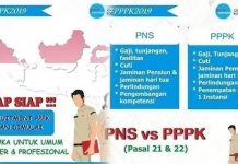 Tak Hanya CPNS, PPPK 2019 di sscasn.bkn.go.id Dibuka