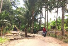 Jembatan Mobes Masuk Usulan 2020