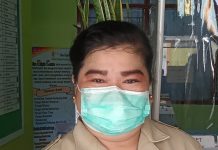 Tahun 2020, Kasus DBD Capai 26 Orang