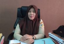 Pengumuman CPNS Dipercepat Pekan Ini BKPP Kotamobagu Pecat PNS Tugas Belajar