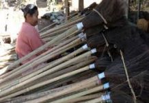 Warga Sia’ Terus Lestarikan Sapu Tradisional Warga Lestarikan Sapu Tradisional