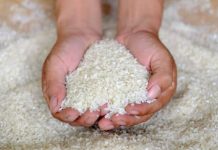 DKP Siapkan Beras Bagi Keluarga Kurang Mampu Beras