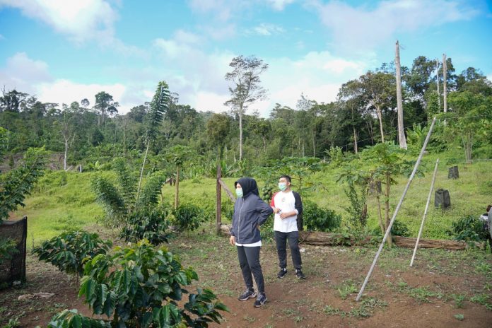 Walikota Tatong Bara