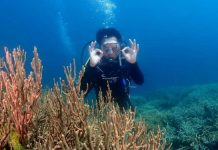 Keindahan Bawah Laut Boltim Diakui Penyelam Hebat Bupati Boltim Sam Sachrul Mamonto