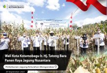 Panen Raya Nusantara, Walikota Terus Dorong Komoditi Jagung Kotamobagu Panen Raya Jagung Nusantara