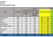 Puskesmas Modayag Barat Capai 34 Persen Masyarakat Divaksin Covid-19 Capaian Vaksinasi Covid-19