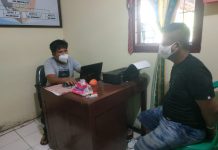 Spesialis Pencuri Sapi Ditangkap Polisi Pencurian Sapi