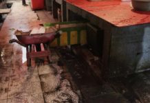 Kondisi Pasar Ikan Terlihat Kumuh dan Tidak Layak Ditempati