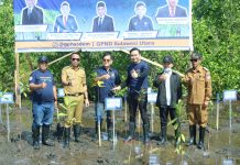 Gelar Penanaman Pohon Mangrove Serentak se – Indonesia, Ini Penyampaian Bupati SSM