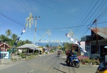 Festival Budaya Siap Digelar, Warga Purworedjo dan Liberia Memperindah Desa