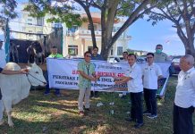 Pemkab Boltim Terima Bantuan Hewan Kurban dari PT JRBM