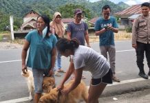 Lawan Rabies, Pemkab Boltim Gelar Vaksinasi di Kecamatan Modayag