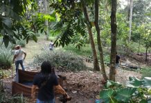 Resmob Polres Kotamobagu Gerebek Judi Sabung Ayam di Passi Barat