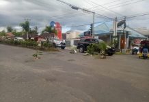 Jalan Rusak Ditanami Pisang, Begini Penjelasan Dinas PUPR Kotamobagu Pohon Pisang
