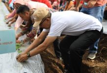 Tekan Inflasi, Pj Walikota Asripan Nani Canangkan Gerakan Penanaman Cabai Penanaman Pohon Cabai