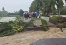 Tujuh Desa Wilayah Dumoga Raya Tergenang Air Dumoga Raya Banjir