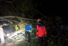 Akses Jalan Sempat Terputus, Pengendara Trans Sulawesi Diminta Hati-hati