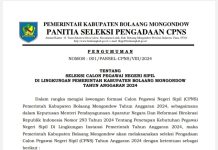 Pendaftaran Dibuka! Ini Jadwal, Syarat dan Jumlah Formasi CPNS Bolmong