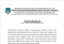 Pendaftaran Dibuka! Ini Formasi hingga Jadwal CPNS Bolsel