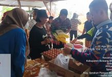 Pemkab Bolmong Gelar GPM di Desa Mariri Lama