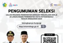 Pendaftaran PPPK Dibuka, Ini Syarat dan Ketentuannya