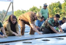 Pj Wali Kota Tanam Cabai dengan Teknologi Digital Farming