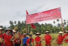 Hari Tani Nasional, PDIP Kotamobagu Siap Kawal Kedaulatan Pangan
